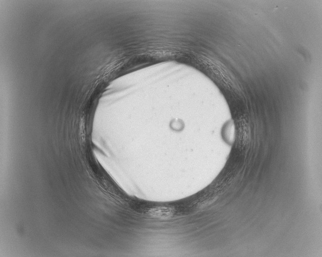 X0000116140700200912211448