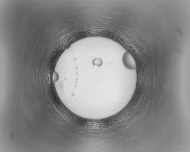 X0000116140703200912211448