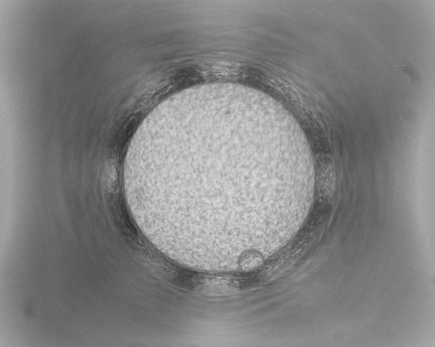 X0000116140709200912211448