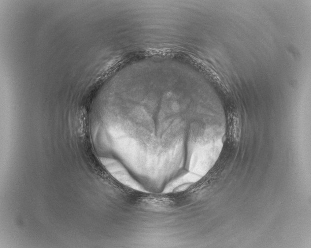 X0000116140712200912211448