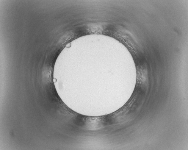 X0000116140717200912211448