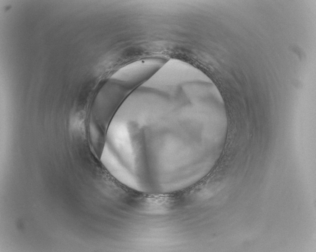 X0000116140720200912211448