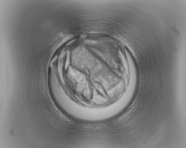 X0000116140721200912211448