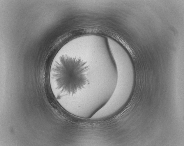 X0000116140722200912211448