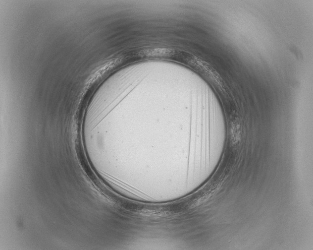 X0000116140725200912211448