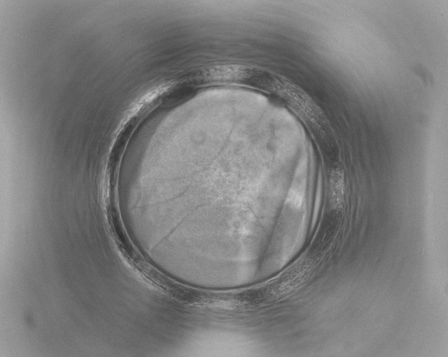 X0000116140726200912211448