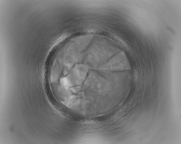 X0000116140730200912211448