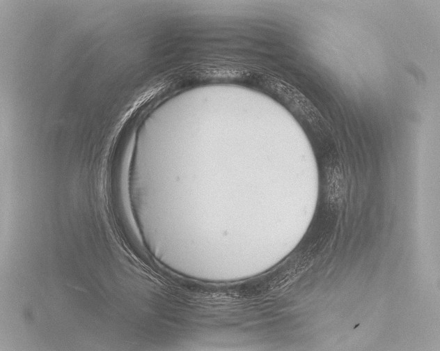 X0000116140731200912211448