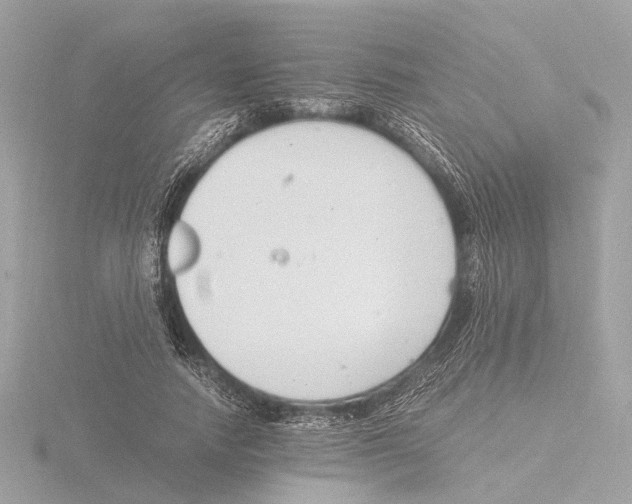 X0000116140738200912211448