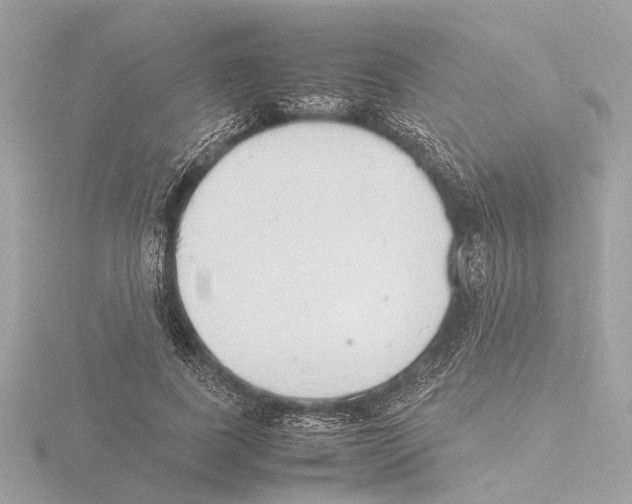 X0000116140739200912211448