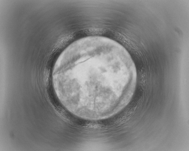 X0000116140742200912211448