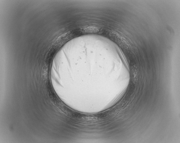 X0000116140745200912211448