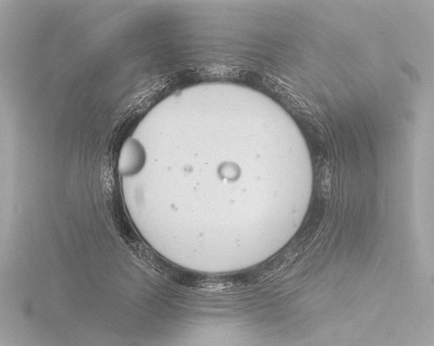 X0000116140746200912211448