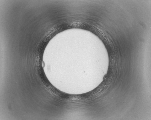 X0000116140750200912211448