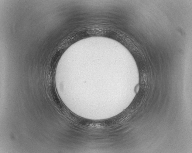 X0000116140751200912211448