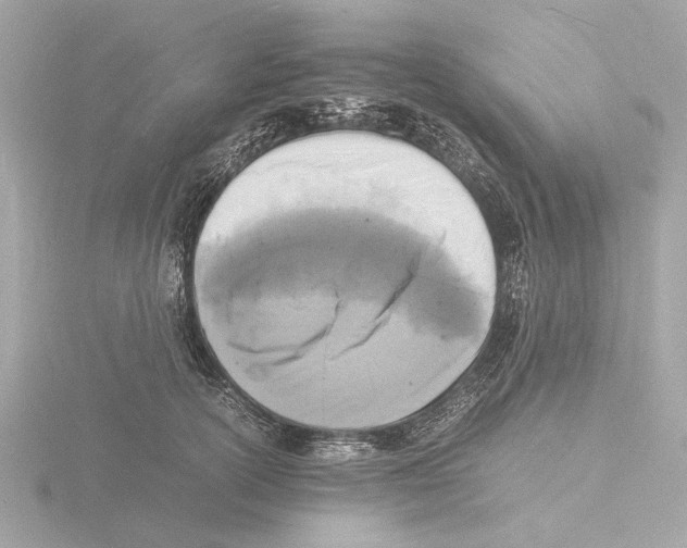 X0000116140754200912211448