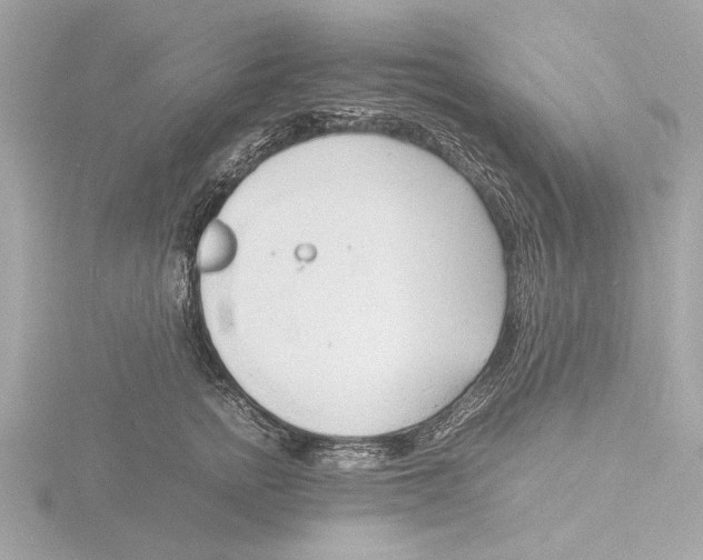 X0000116140758200912211448