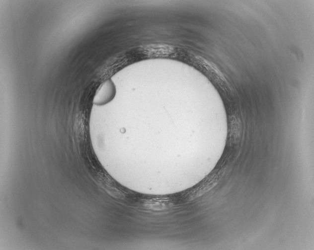 X0000116140761200912211448