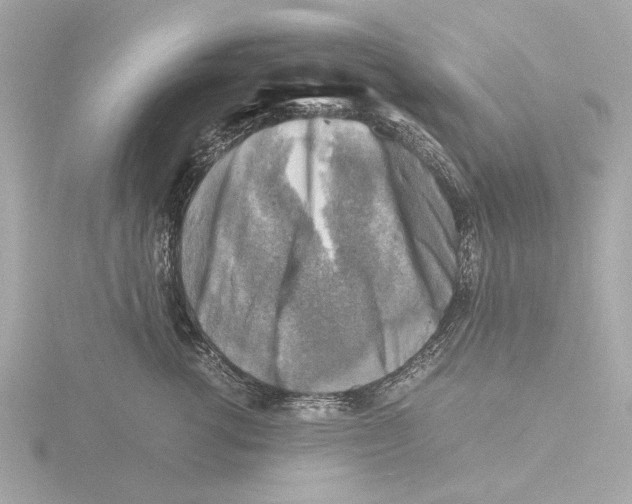 X0000116140762200912211448