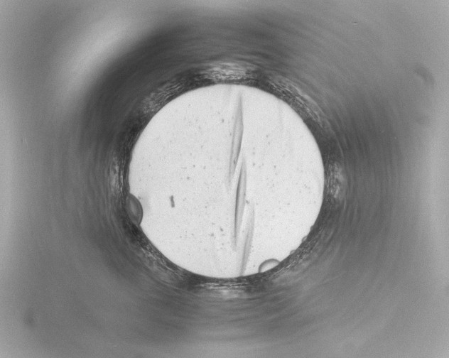 X0000116140763200912211448