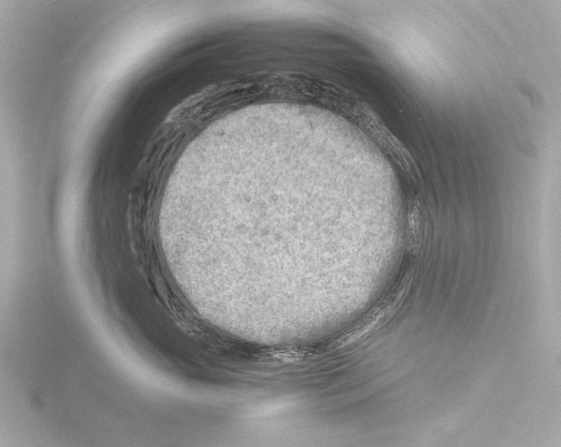 X0000116140765200912211448