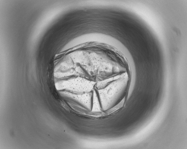 X0000116140766200912211448