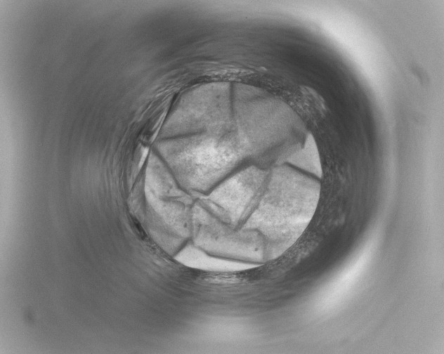 X0000116140767200912211448