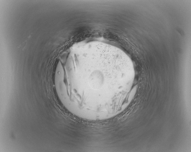 X0000116140769200912211448