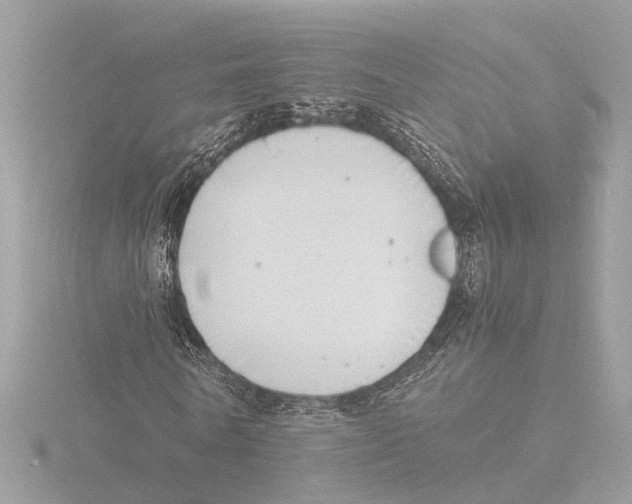 X0000116140770200912211448