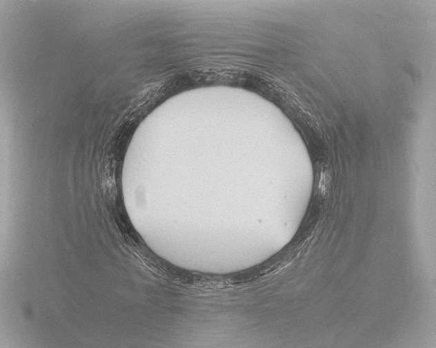 X0000116140771200912211448