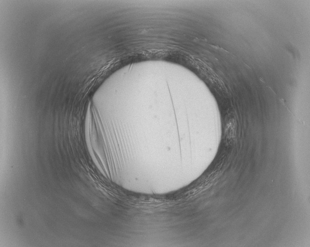 X0000116140772200912211448