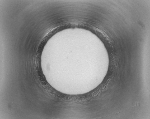 X0000116140776200912211447