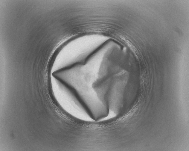 X0000116140779200912211447