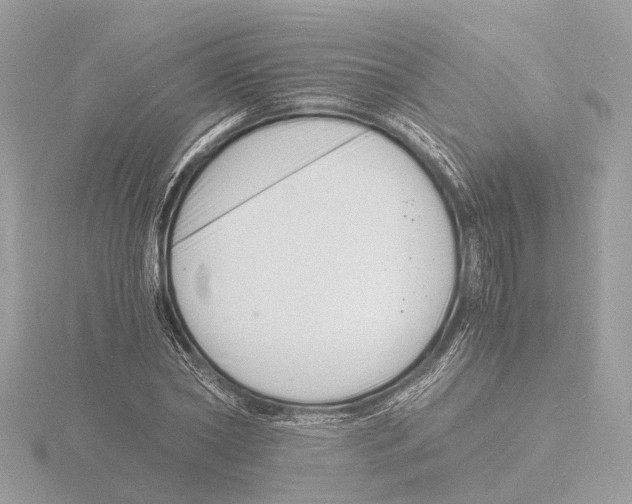 X0000116140782200912211447