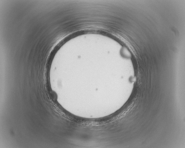 X0000116140783200912211447