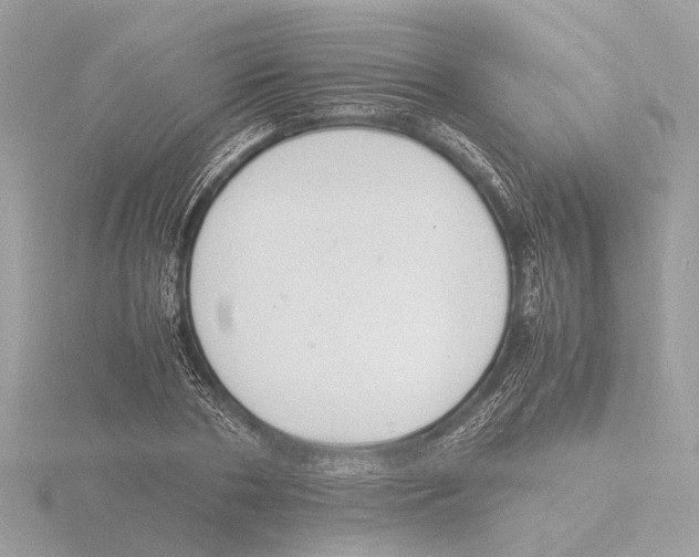 X0000116140786200912211447