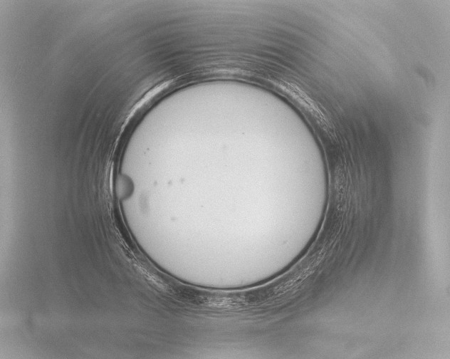 X0000116140790200912211447