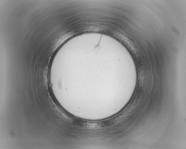 X0000116140794200912211447