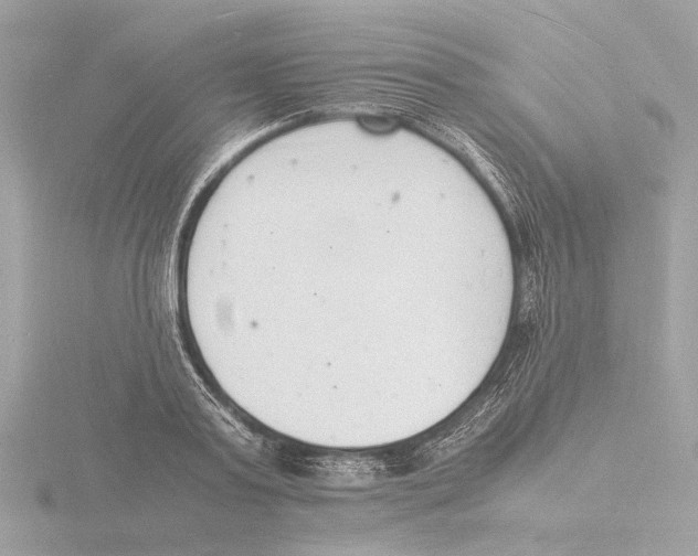 X0000116140795200912211447