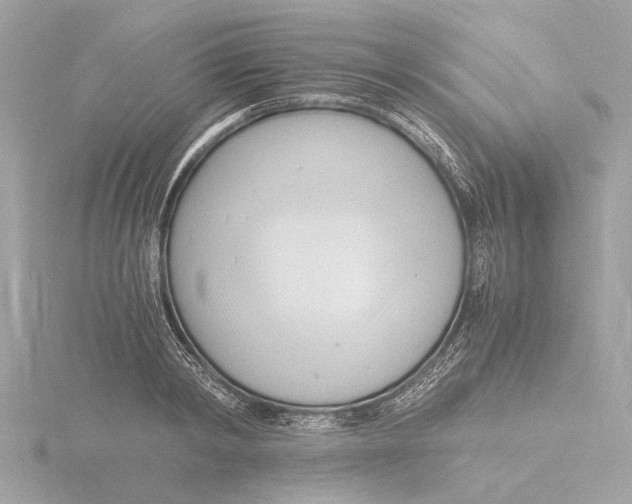 X0000116140798200912211447