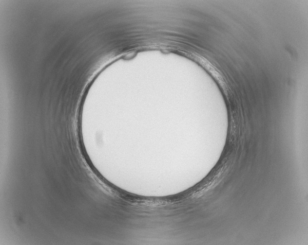 X0000116140803200912211447