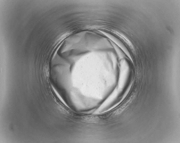 X0000116140809200912211447