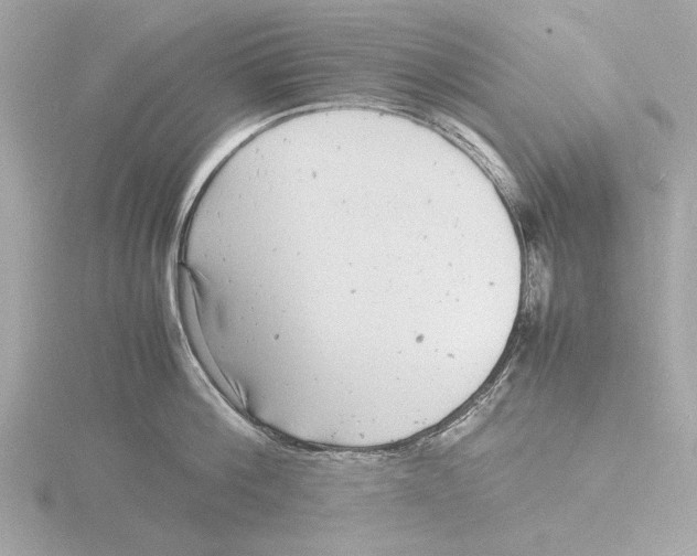 X0000116140812200912211447