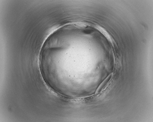 X0000116140813200912211447