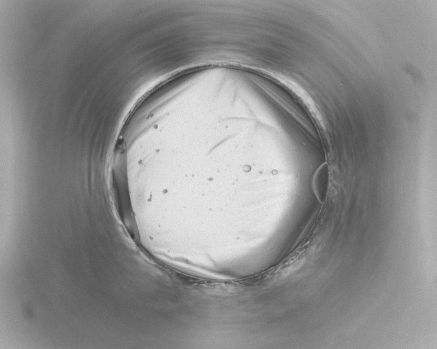 X0000116140815200912211447