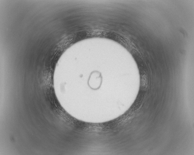 X0000116140820200912211446