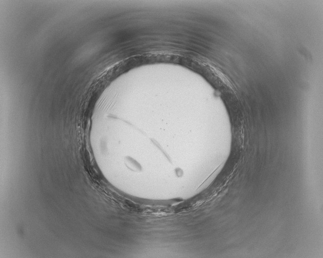 X0000116140821200912211446