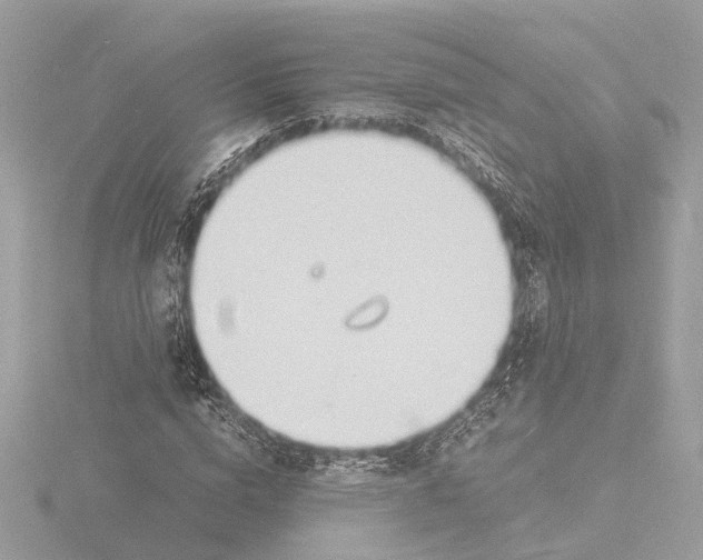 X0000116140824200912211446