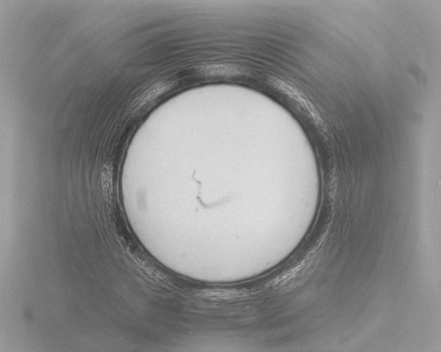 X0000116140825200912211446