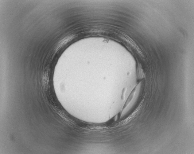 X0000116140826200912211446